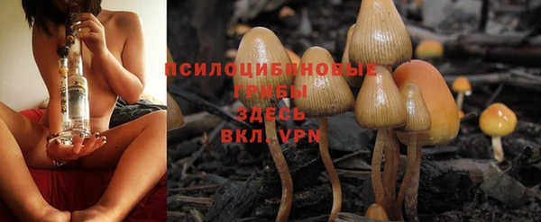 молекула духа Покровск