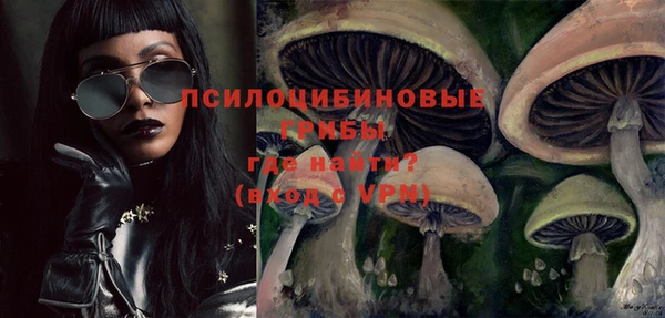 молекула духа Покровск