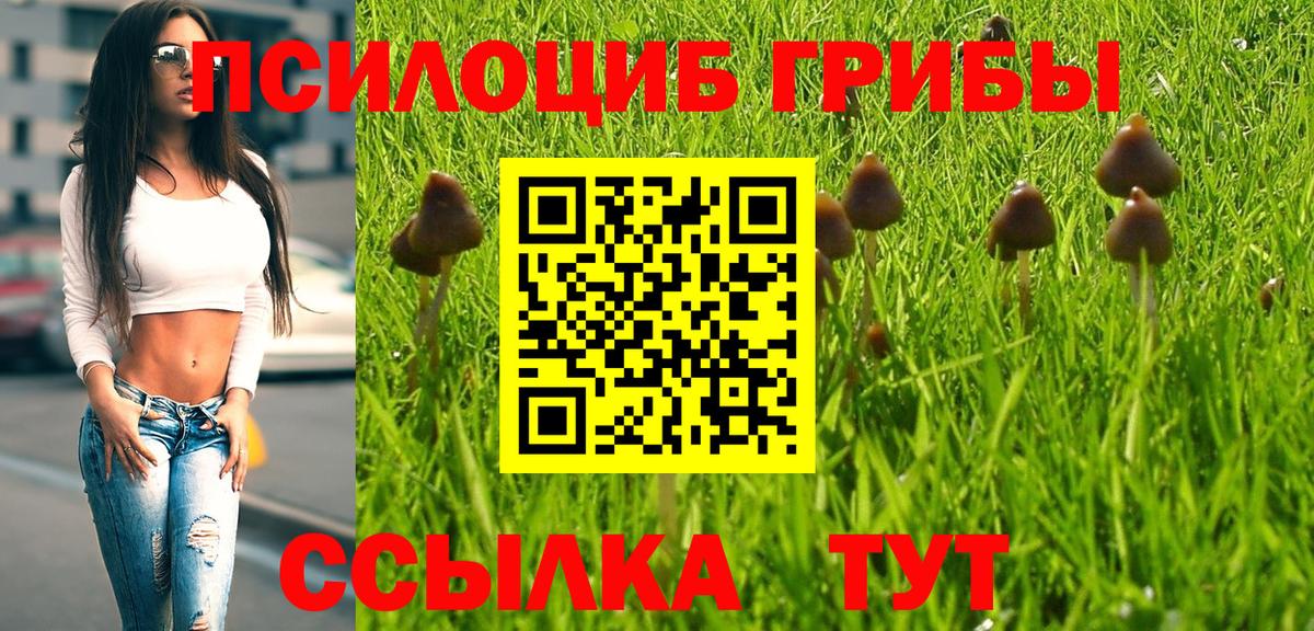 Галлюциногенные грибы Cubensis  Галлюциногенные грибы GOLDEN TEACHER  Астрахань 