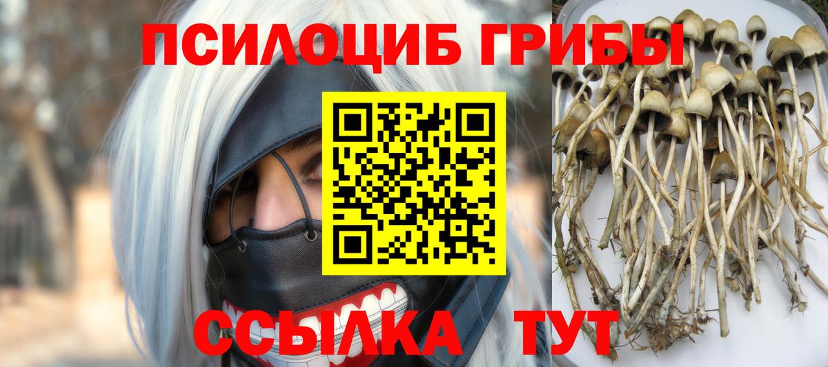 Псилоцибиновые грибы Psilocybe  Галлюциногенные грибы мухоморы  Вход с VPN  Астрахань 