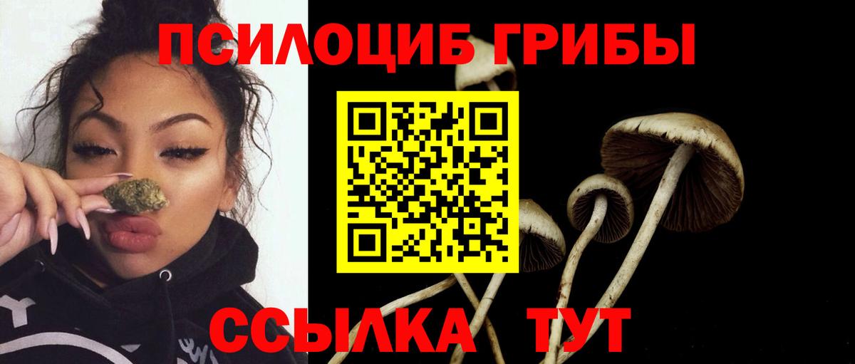 Псилоцибиновые грибы Magic Shrooms Астрахань